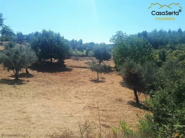 Terreno para Venda em Cernache do Bonjardim, Nesperal e Palhais