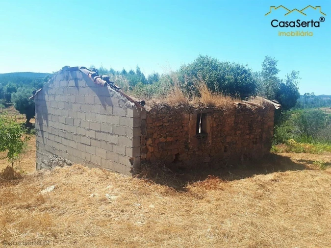 Terreno para Venda em Cernache do Bonjardim, Nesperal e Palhais Foto 3