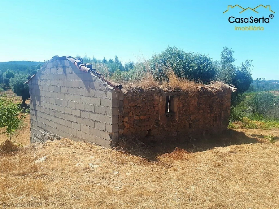 Terreno para Venda em Cernache do Bonjardim, Nesperal e Palhais Foto 3