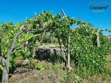 Terreno para Venda em Cernache do Bonjardim, Nesperal e Palhais