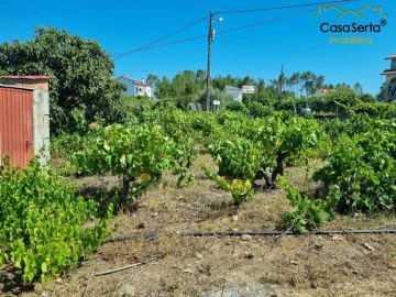 Terreno para Venda em Cernache do Bonjardim, Nesperal e Palhais