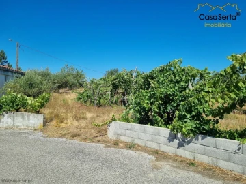 Terreno para Venda em Cernache do Bonjardim, Nesperal e Palhais