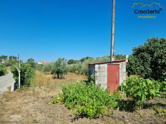 Terreno para Venda em Cernache do Bonjardim, Nesperal e Palhais Foto 6