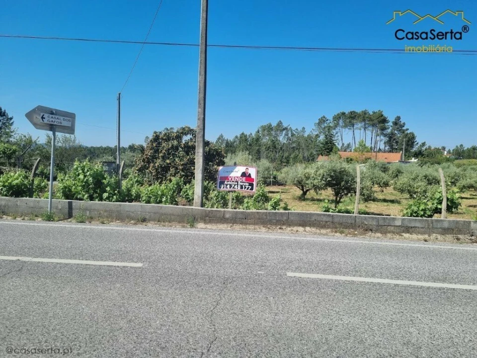 Terreno para Venda em Cernache do Bonjardim, Nesperal e Palhais Foto 1