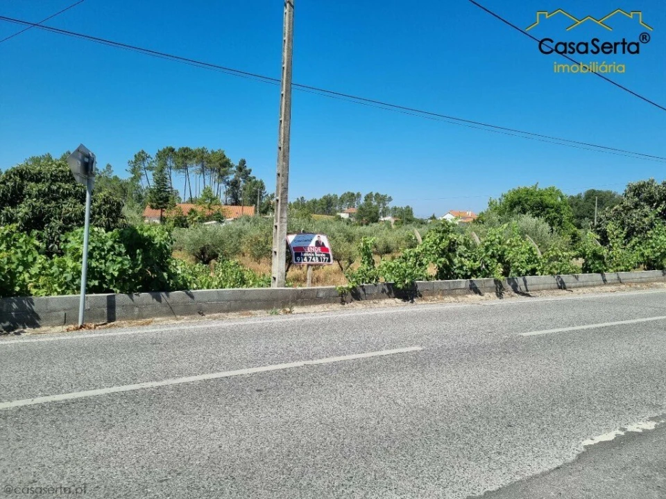 Terreno para Venda em Cernache do Bonjardim, Nesperal e Palhais Foto 2