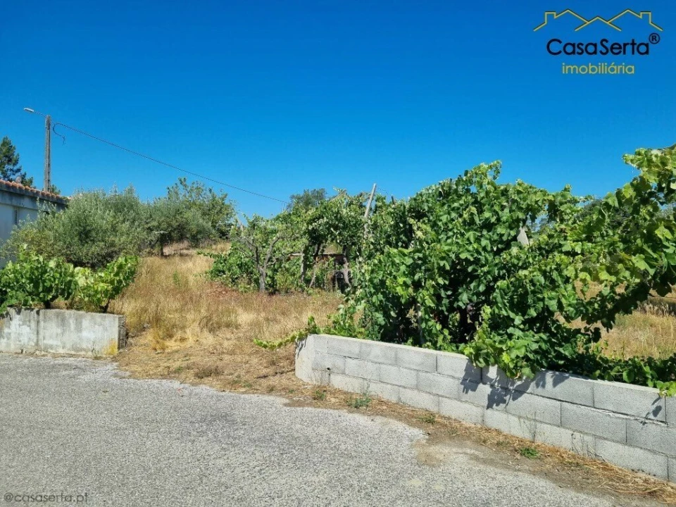 Terreno para Venda em Cernache do Bonjardim, Nesperal e Palhais Foto 5
