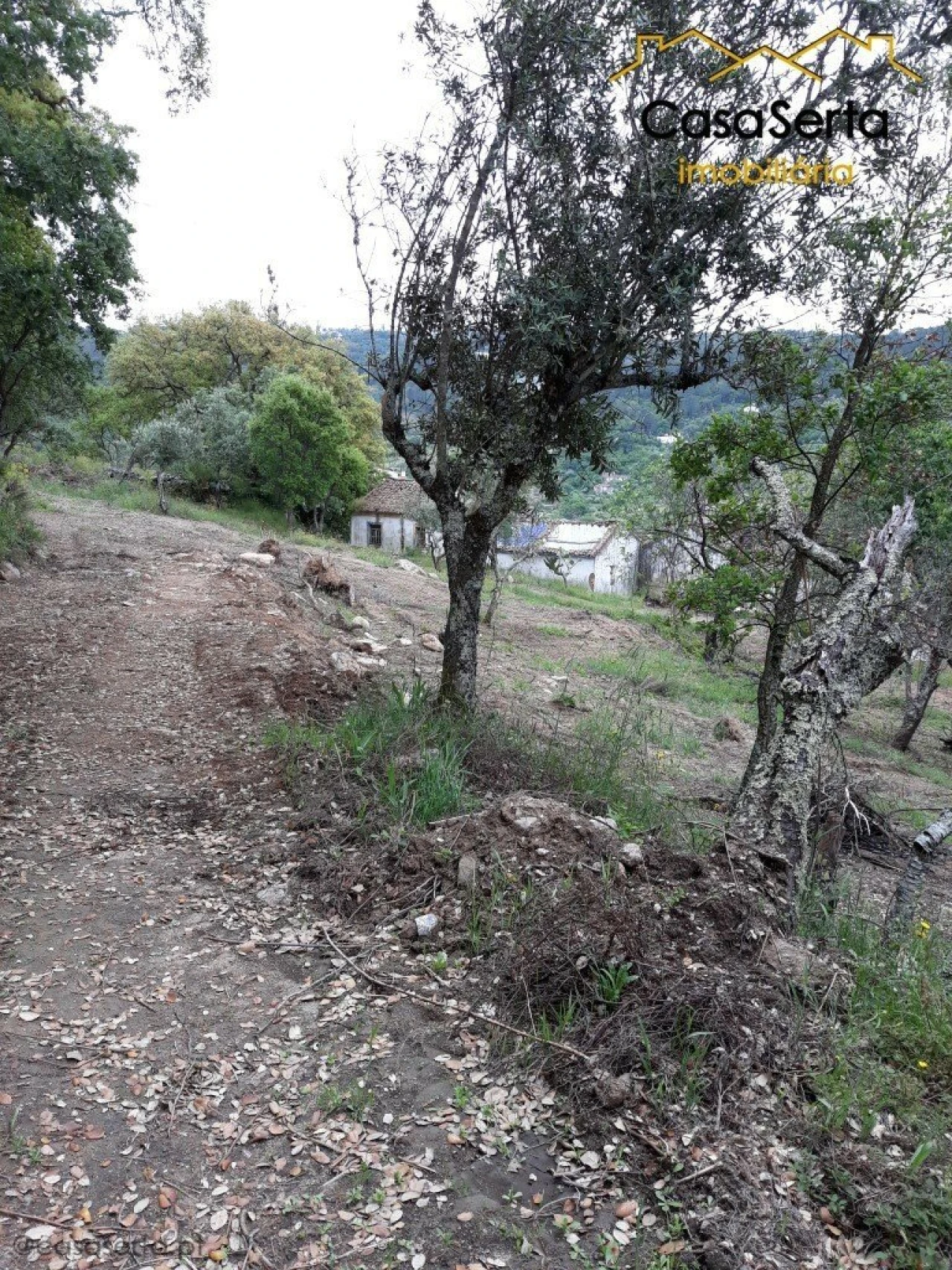 Quinta T6 para Venda em Espírito Santo, Nossa Senhora da Graça e São Simão Foto 14