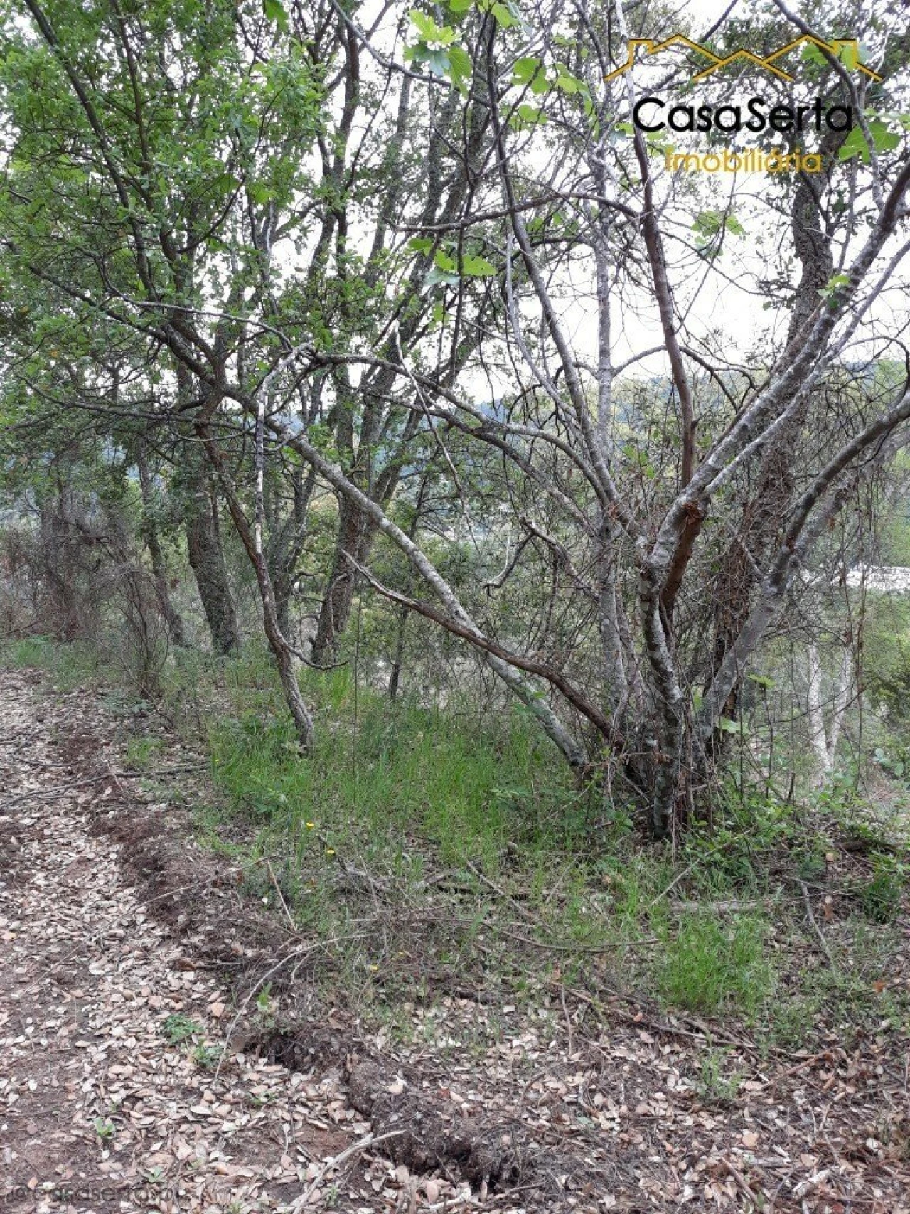 Quinta T6 para Venda em Espírito Santo, Nossa Senhora da Graça e São Simão Foto 11