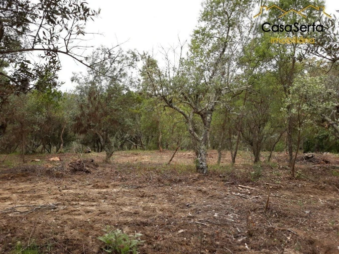 Quinta T6 para Venda em Espírito Santo, Nossa Senhora da Graça e São Simão Foto 7