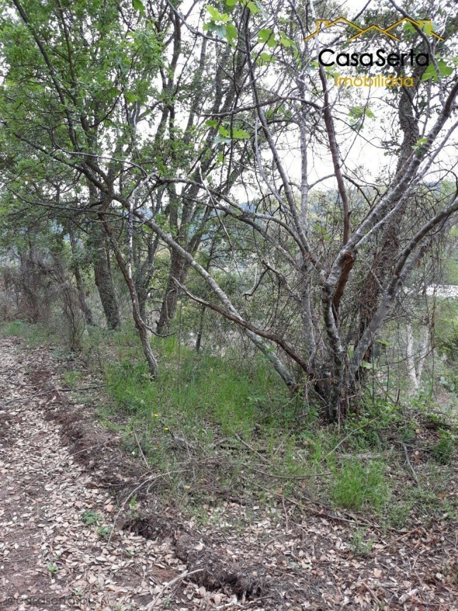 Quinta T6 para Venda em Espírito Santo, Nossa Senhora da Graça e São Simão Foto 11