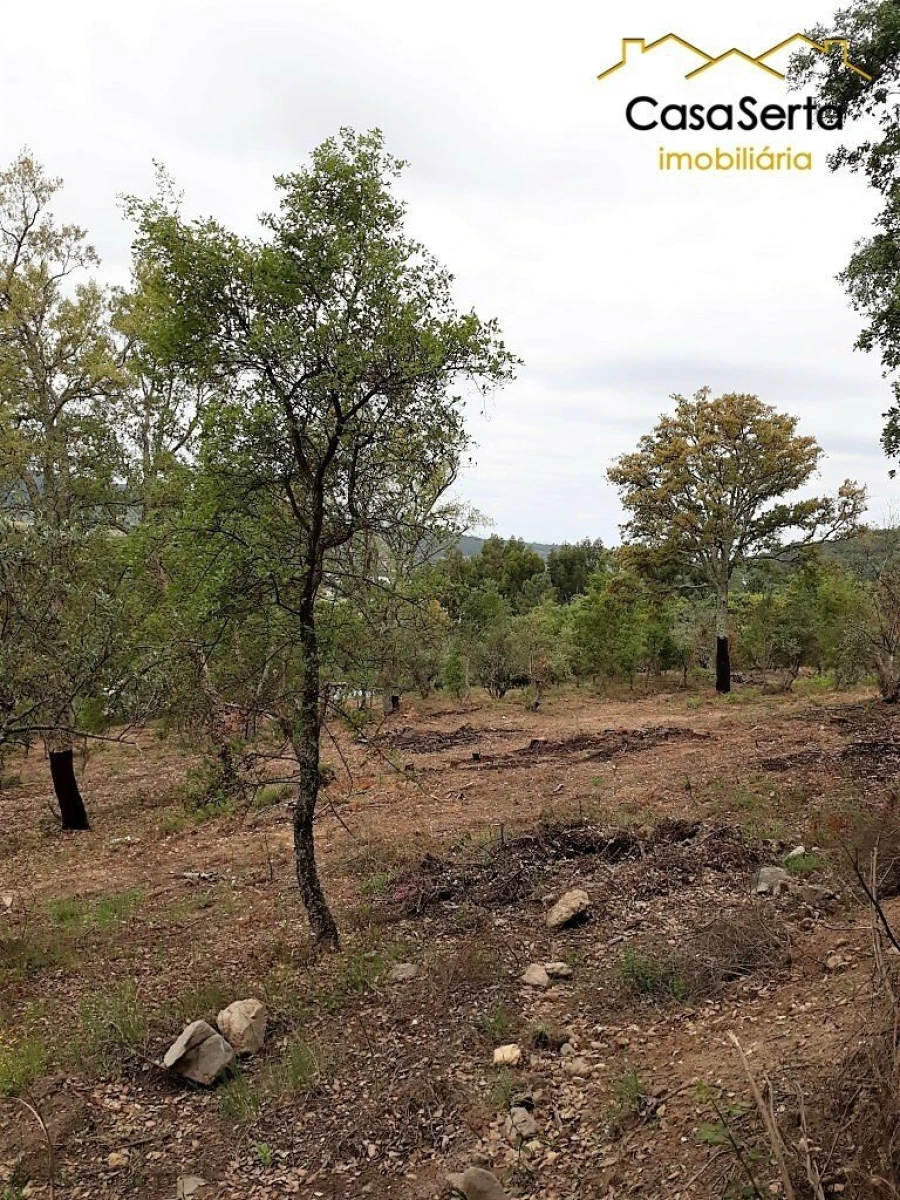 Quinta T6 para Venda em Espírito Santo, Nossa Senhora da Graça e São Simão Foto 3