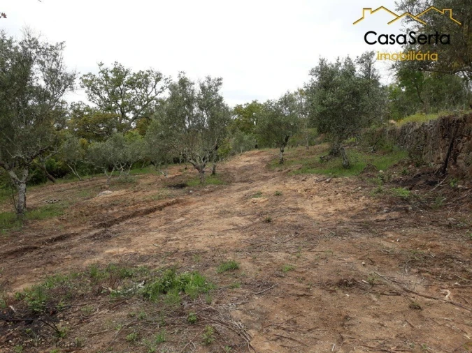 Quinta T6 para Venda em Espírito Santo, Nossa Senhora da Graça e São Simão Foto 16
