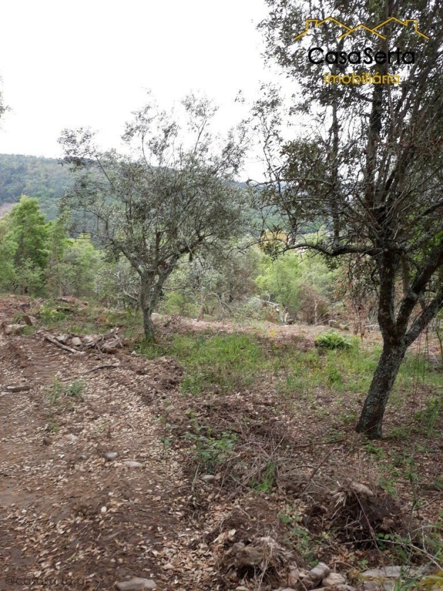 Quinta T6 para Venda em Espírito Santo, Nossa Senhora da Graça e São Simão Foto 9