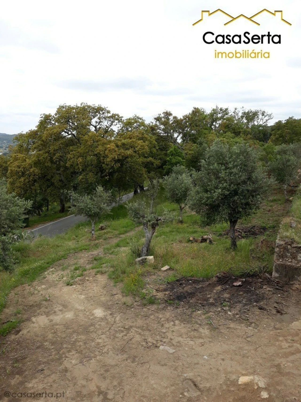 Quinta T6 para Venda em Espírito Santo, Nossa Senhora da Graça e São Simão Foto 20