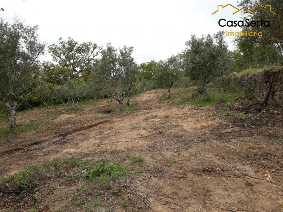 Quinta T6 para Venda em Espírito Santo, Nossa Senhora da Graça e São Simão Foto 16