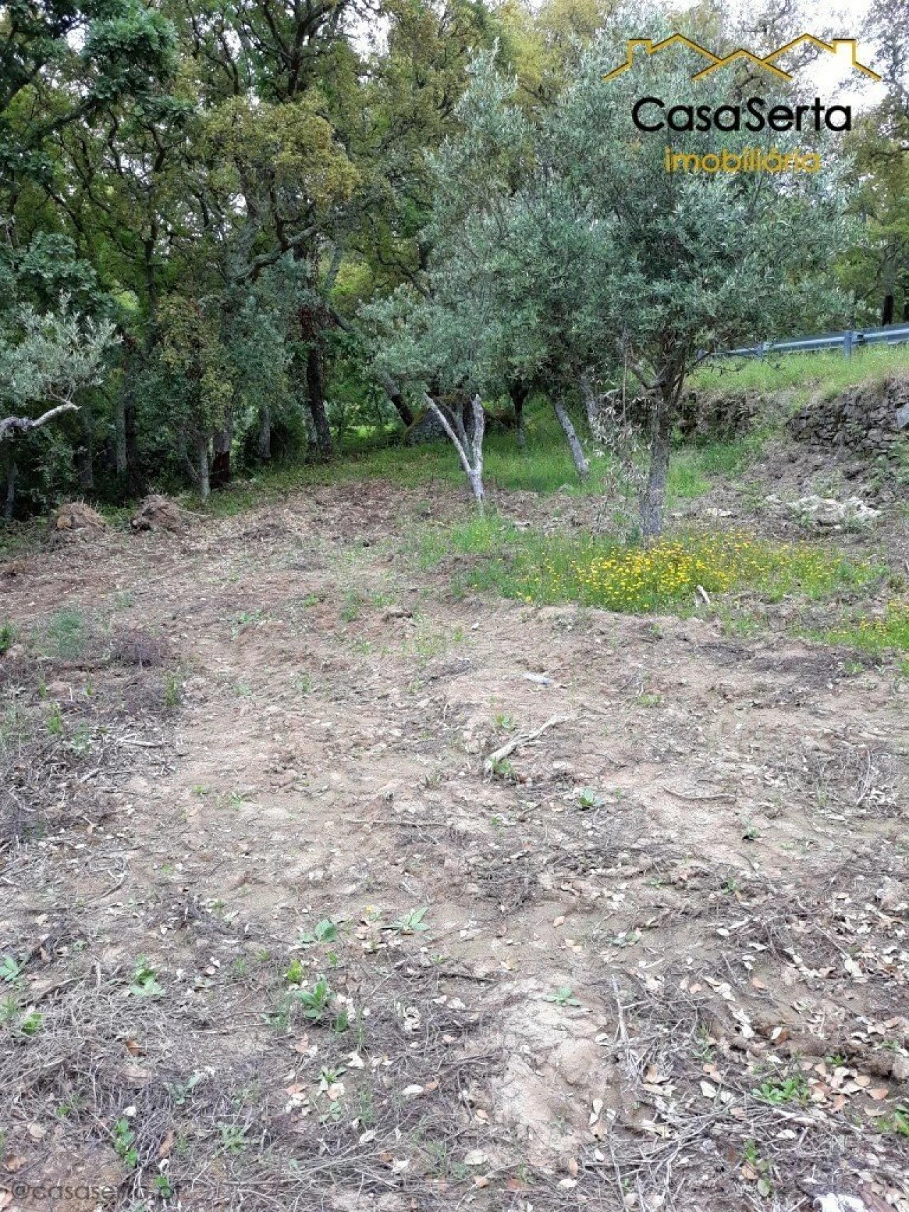 Quinta T6 para Venda em Espírito Santo, Nossa Senhora da Graça e São Simão Foto 5