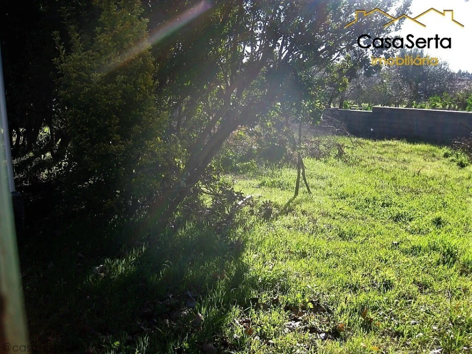 Terreno para Venda em Cernache do Bonjardim, Nesperal e Palhais Foto 2