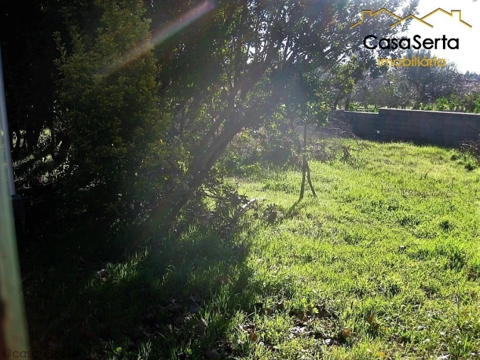 Terreno para Venda em Cernache do Bonjardim, Nesperal e Palhais Foto 2