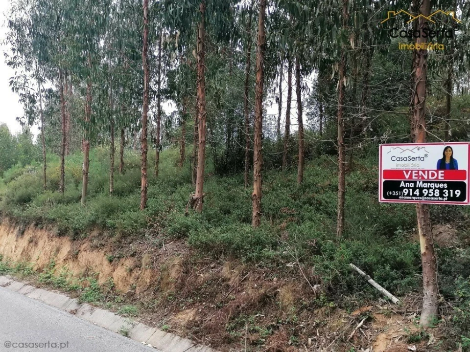 Quinta T0 para Venda em Cernache do Bonjardim, Nesperal e Palhais Foto 2