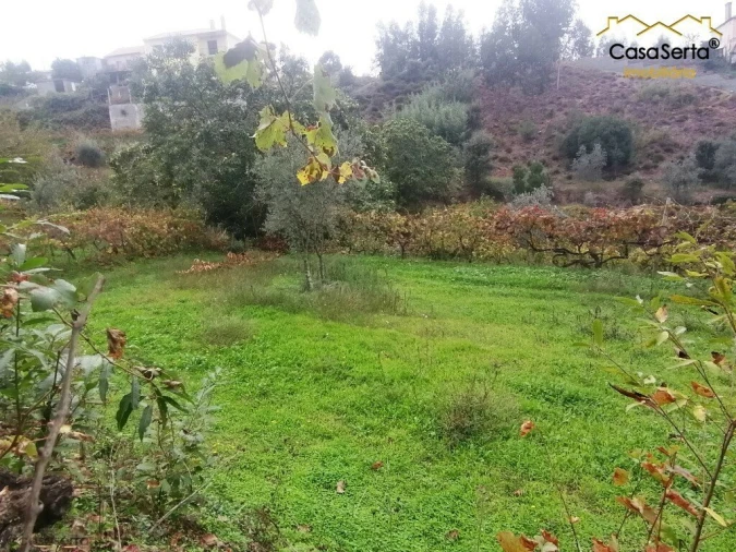 Quinta T0 para Venda em Cernache do Bonjardim, Nesperal e Palhais Foto 7