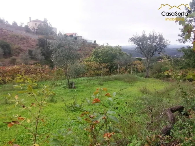 Quinta T0 para Venda em Cernache do Bonjardim, Nesperal e Palhais Foto 8