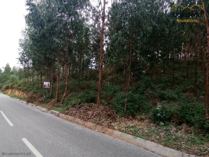 Quinta T0 para Venda em Cernache do Bonjardim, Nesperal e Palhais Foto 1