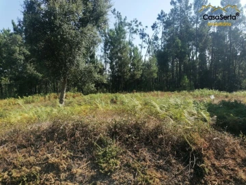 Terreno para Venda em Cernache do Bonjardim, Nesperal e Palhais