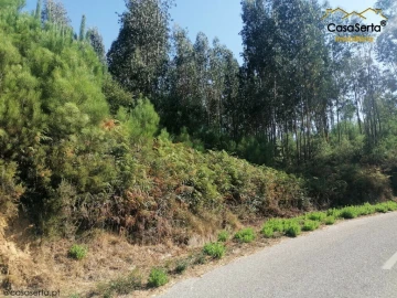 Terreno para Venda em Cernache do Bonjardim, Nesperal e Palhais