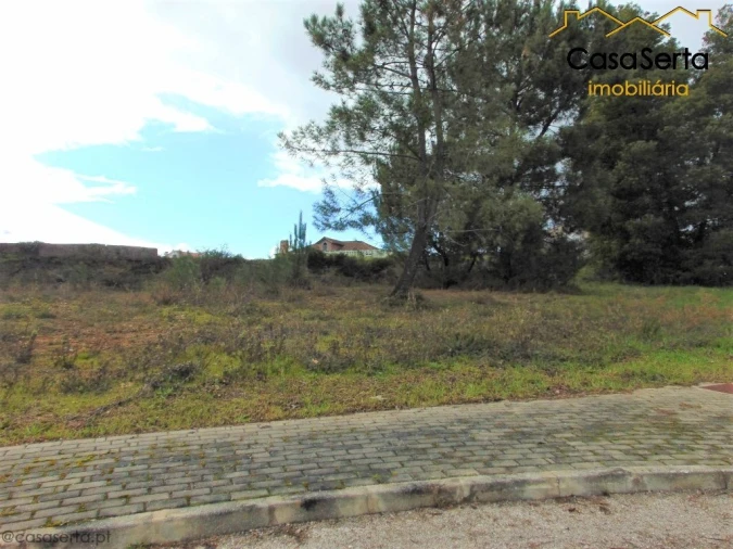 Terreno para Venda em Cernache do Bonjardim, Nesperal e Palhais Foto 5