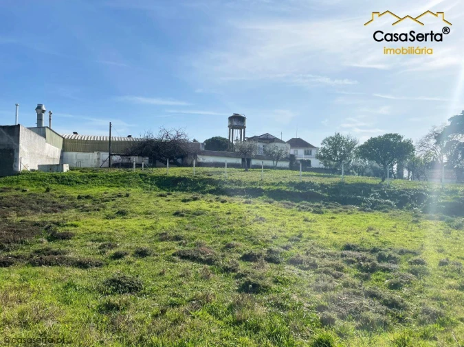Terreno para Venda em Cernache do Bonjardim, Nesperal e Palhais Foto 3