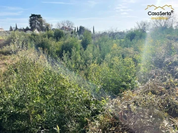 Terreno para Venda em Cernache do Bonjardim, Nesperal e Palhais