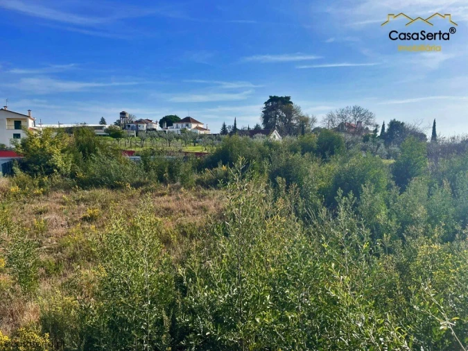 Terreno para Venda em Cernache do Bonjardim, Nesperal e Palhais Foto 3
