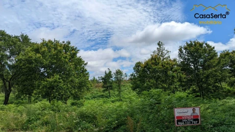 Terreno para Venda em Cernache do Bonjardim, Nesperal e Palhais