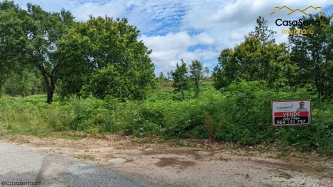 Terreno para Venda em Cernache do Bonjardim, Nesperal e Palhais