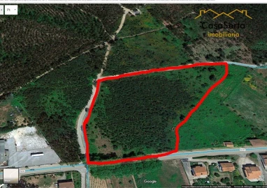 Terreno para Venda em Cernache do Bonjardim, Nesperal e Palhais