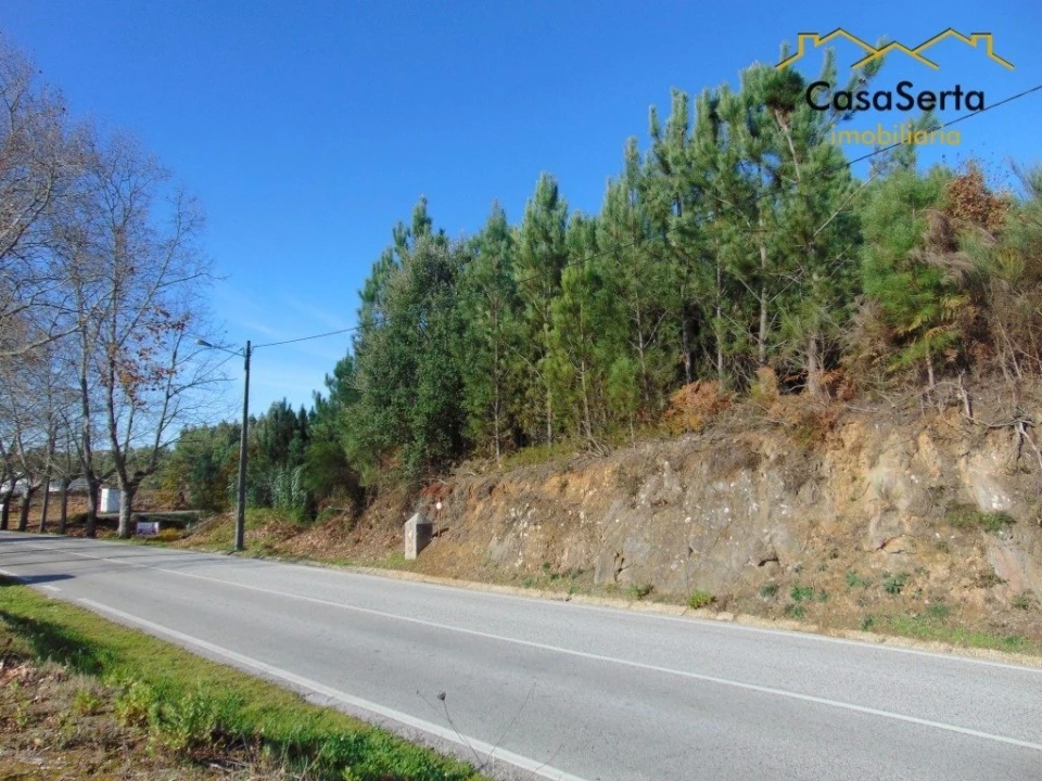Terreno para Venda em Cernache do Bonjardim, Nesperal e Palhais Foto 1