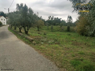 Terreno para Venda em Cernache do Bonjardim, Nesperal e Palhais