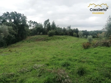 Terreno para Venda em Cernache do Bonjardim, Nesperal e Palhais