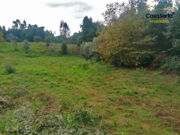 Terreno para Venda em Cernache do Bonjardim, Nesperal e Palhais