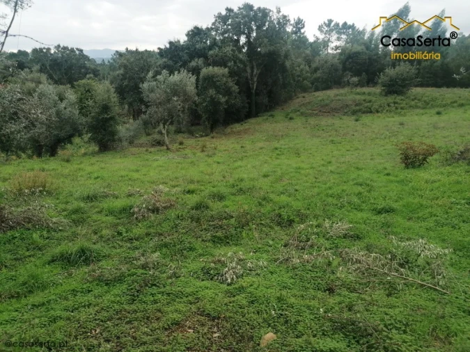 Terreno para Venda em Cernache do Bonjardim, Nesperal e Palhais Foto 2