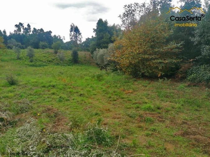 Terreno para Venda em Cernache do Bonjardim, Nesperal e Palhais Foto 4
