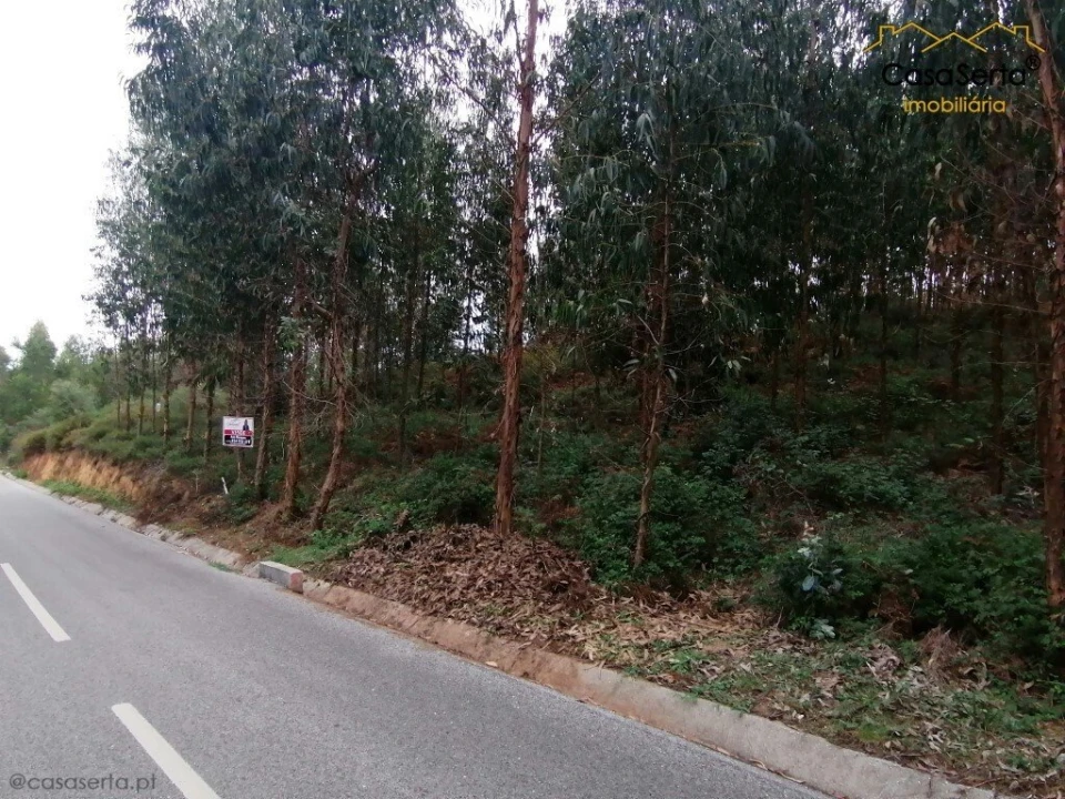 Moradia T0 para Venda em Cernache do Bonjardim, Nesperal e Palhais Foto 1