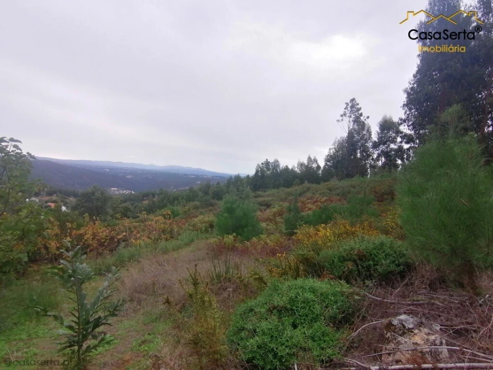 Moradia T0 para Venda em Cernache do Bonjardim, Nesperal e Palhais Foto 3