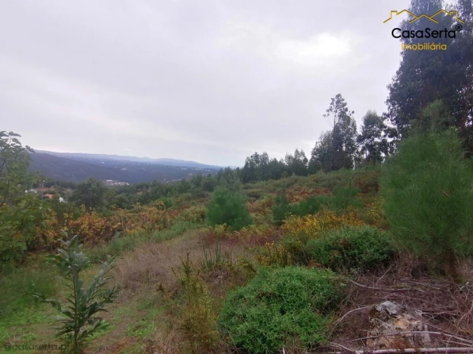 Moradia T0 para Venda em Cernache do Bonjardim, Nesperal e Palhais Foto 3