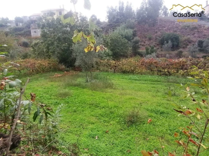 Moradia T0 para Venda em Cernache do Bonjardim, Nesperal e Palhais Foto 7