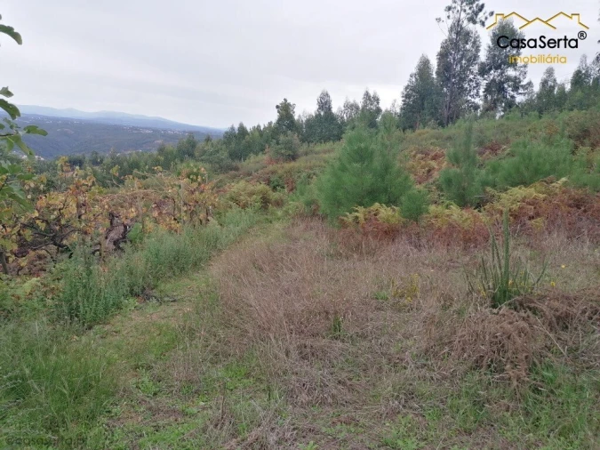 Moradia T0 para Venda em Cernache do Bonjardim, Nesperal e Palhais Foto 4