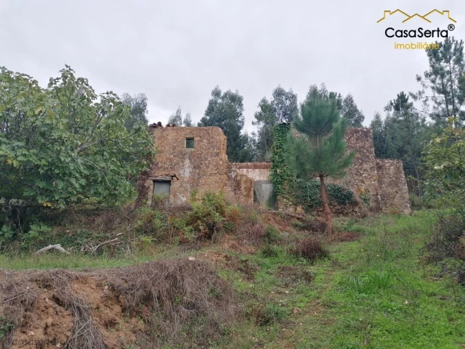 Moradia T0 para Venda em Cernache do Bonjardim, Nesperal e Palhais Foto 6