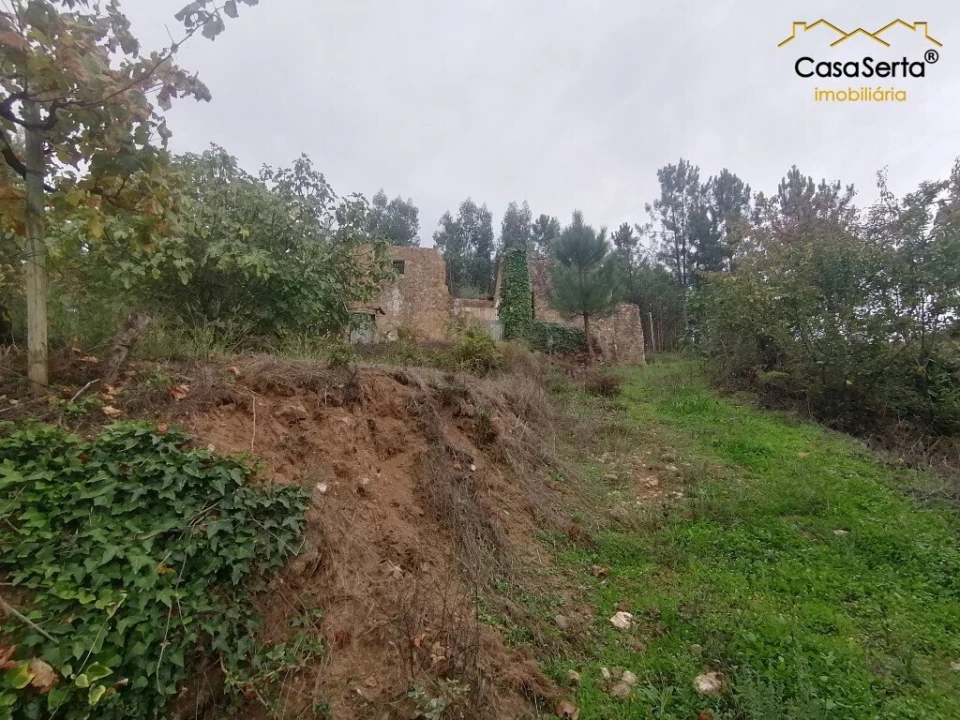 Moradia T0 para Venda em Cernache do Bonjardim, Nesperal e Palhais Foto 10