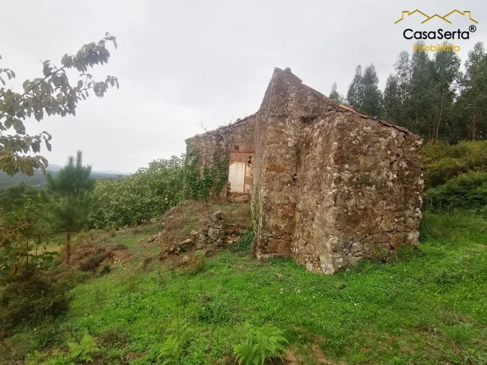 Moradia T0 para Venda em Cernache do Bonjardim, Nesperal e Palhais Foto 11
