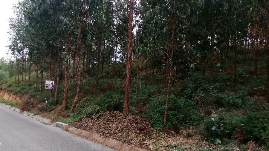 Moradia T0 para Venda em Cernache do Bonjardim, Nesperal e Palhais